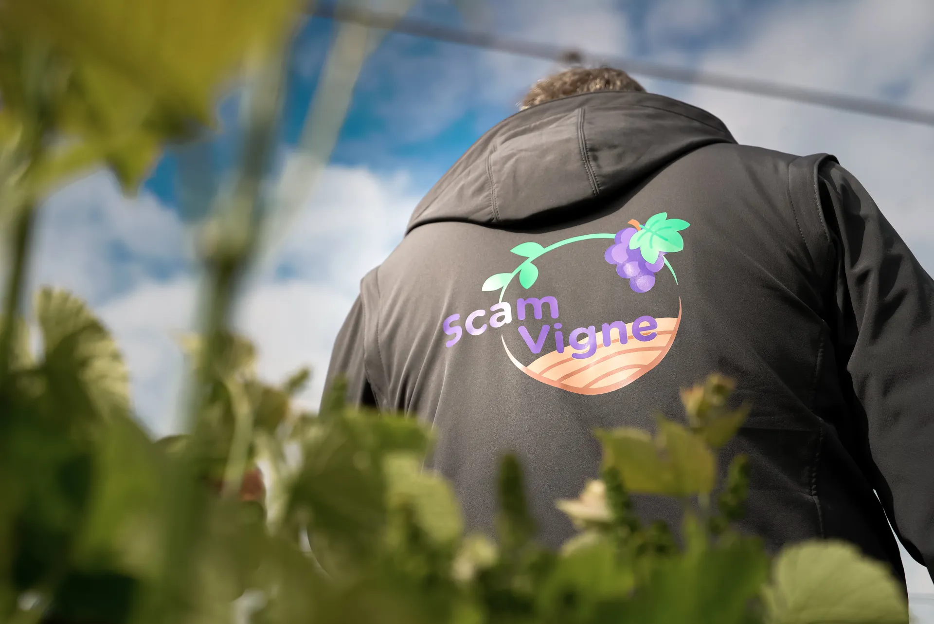 club vigne de la SCAM