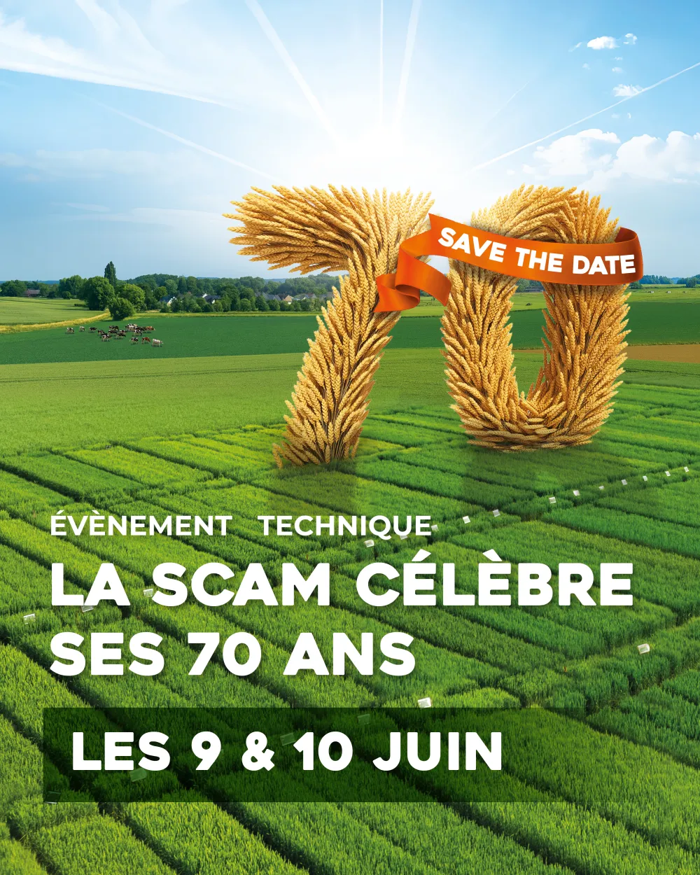 visuel champ avec les chiffres 70 repr&eacute;sentant l'&eacute;v&eacute;nement pour les 70 ans de la SCAM