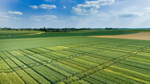 la-scam-innovation-champs-essais-1