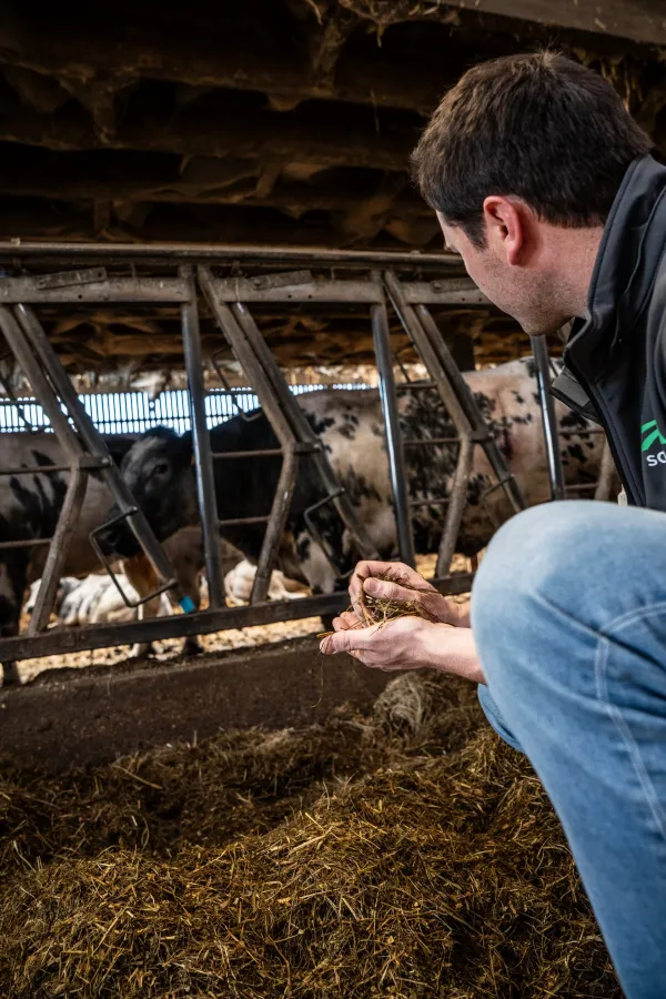 expert alimentation animale